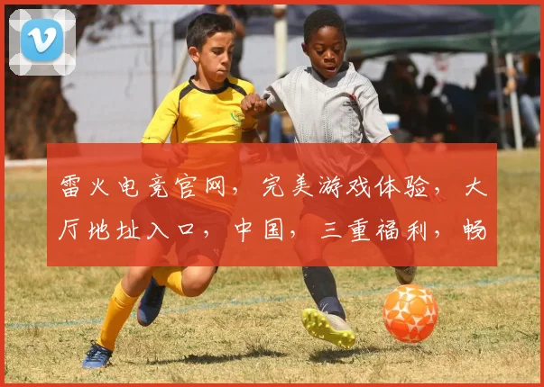 雷火电竞官网，完美游戏体验，大厅地址入口，中国，三重福利，畅享不停，一网打尽