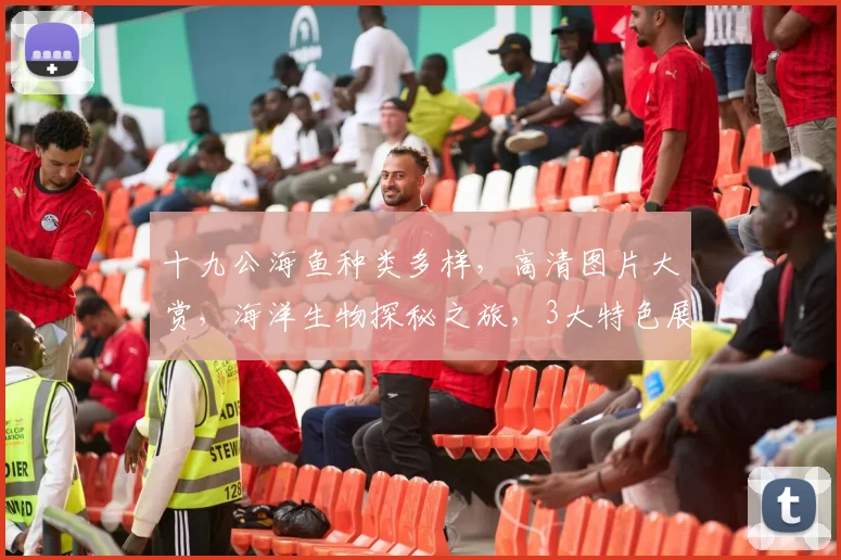 十九公海鱼种类多样，高清图片大赏，海洋生物探秘之旅，3大特色展示，不容错过