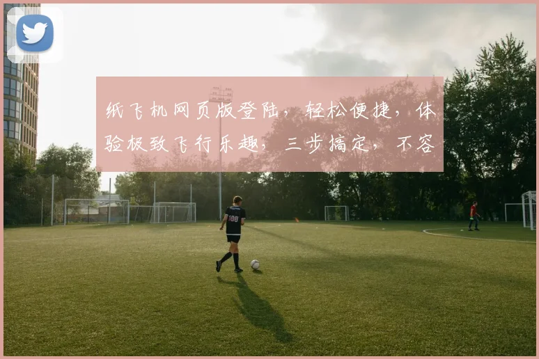 纸飞机网页版登陆，轻松便捷，体验极致飞行乐趣，三步搞定，不容错过，必看攻略